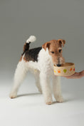 Load image into Gallery viewer, Nomnom Bowl
