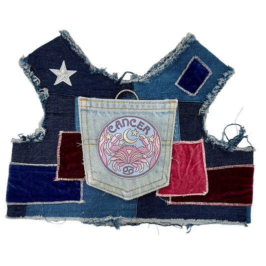 Astrological Expressions Cancer