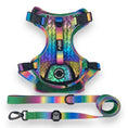 Load image into Gallery viewer, Mystical Haze - Adventure Leather Harness 
