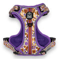 Load image into Gallery viewer, PB&J - Adventure Harness 
