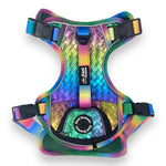 Mystical Haze - Adventure Leather Harness 