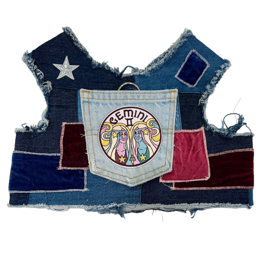 Astrological Expressions Gemini