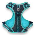 Load image into Gallery viewer, Tiffany Twilight - Adventure Leather Harness 
