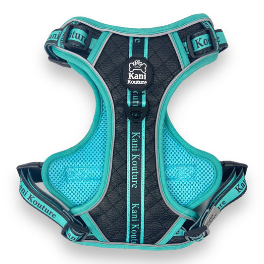 Tiffany Twilight - Adventure Leather Harness 