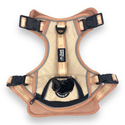 Blushing Sands - Adventure Leather Harness 