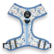 Big Air - Adjustable Harness 