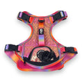 Load image into Gallery viewer, Fuchsia Meadows - Adventure Leather Harness 
