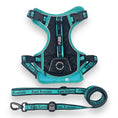 Load image into Gallery viewer, Tiffany Twilight - Adventure Leather Harness 
