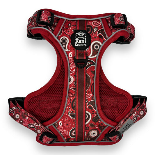 Red Paisley - Adventure Harness 