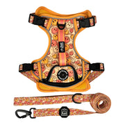 All Smiles - Adventure Harness 
