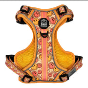 All Smiles - Adventure Harness 