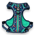 Load image into Gallery viewer, Scuba Dive - Adventure Harness 
