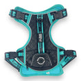 Load image into Gallery viewer, Tiffany Twilight - Adventure Leather Harness 
