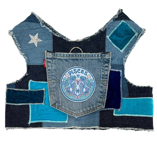 Astrological Expressions Pisces