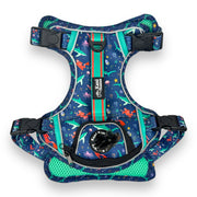 Scuba Dive - Adventure Harness 