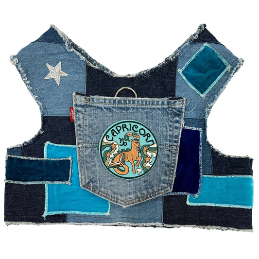 Astrological Expressions Capricorn