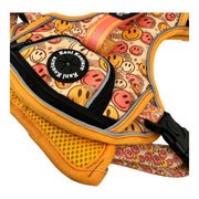 All Smiles - Adventure Harness 