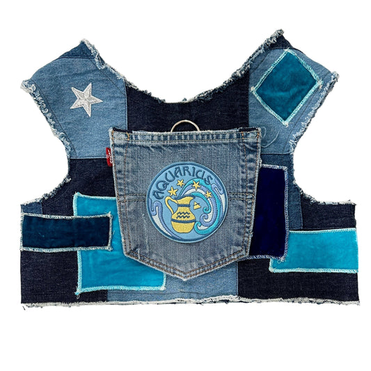 Astrological Expressions Aquarius