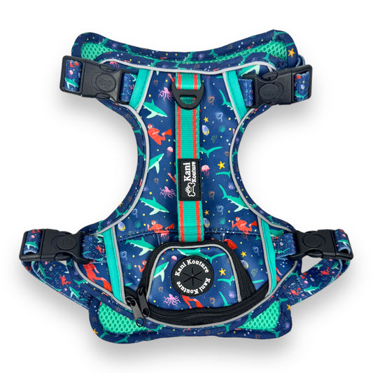 Scuba Dive - Adventure Harness 