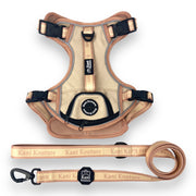 Blushing Sands - Adventure Leather Harness 