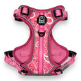Load image into Gallery viewer, Pink Paisley - Adventure Harness 
