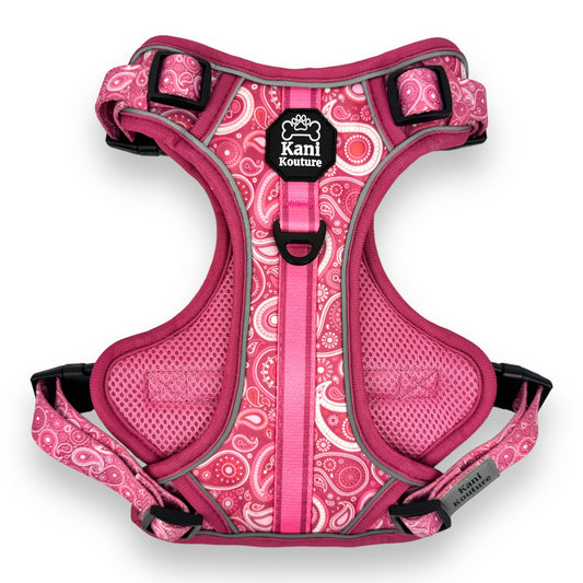 Pink Paisley - Adventure Harness 