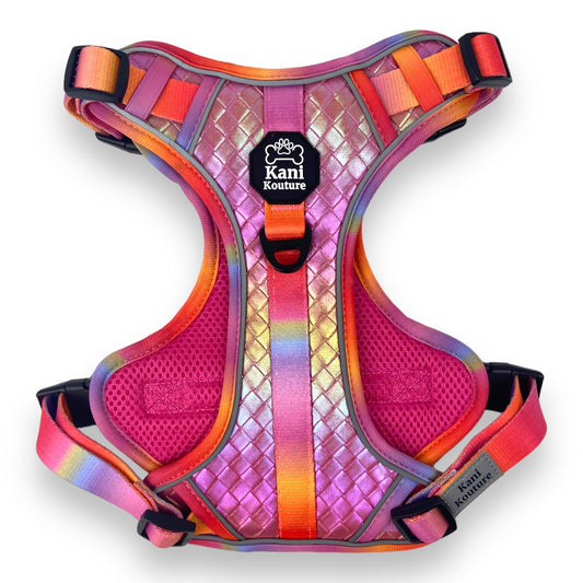 Fuchsia Meadows - Adventure Leather Harness 