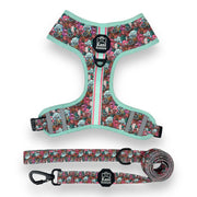 Melting Pot - Adjustable Harness 