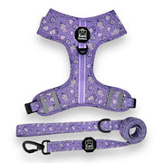 Lollipop Latte Dream - Adjustable Harness 