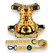 Honey Bee - Adventure Harness 