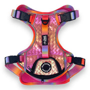 Fuchsia Meadows - Adventure Leather Harness 