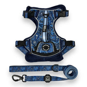 Blue Paisley - Adventure Harness 