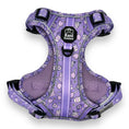 Load image into Gallery viewer, Lollipop Latte Dream - Adventure Harness 
