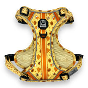 Honey Bee - Adventure Harness 