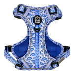 Mama's Boy - Adventure Harness 