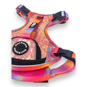 Fuchsia Meadows - Adventure Leather Harness 