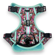 Melting Pot - Adventure Harness 