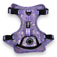 Load image into Gallery viewer, Lollipop Latte Dream - Adventure Harness 
