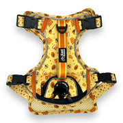 Honey Bee - Adventure Harness 
