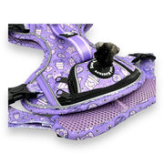 Lollipop Latte Dream - Adventure Harness 