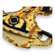Honey Bee - Adventure Harness 