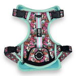 Melting Pot - Adventure Harness 