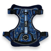 Blue Paisley - Adventure Harness 