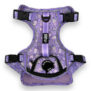 Lollipop Latte Dream - Adventure Harness 