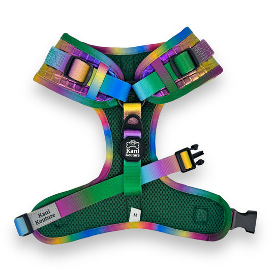 Mystical Haze - Adjustable Leather Harness 