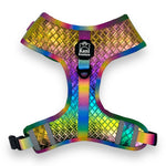 Mystical Haze - Adjustable Leather Harness 