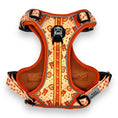 Load image into Gallery viewer, Teddy Hearts - Adventure Harness 

