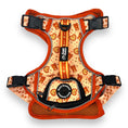Load image into Gallery viewer, Teddy Hearts - Adventure Harness 
