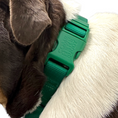Load image into Gallery viewer, Martingale Dog Collar - Southlake Paws
