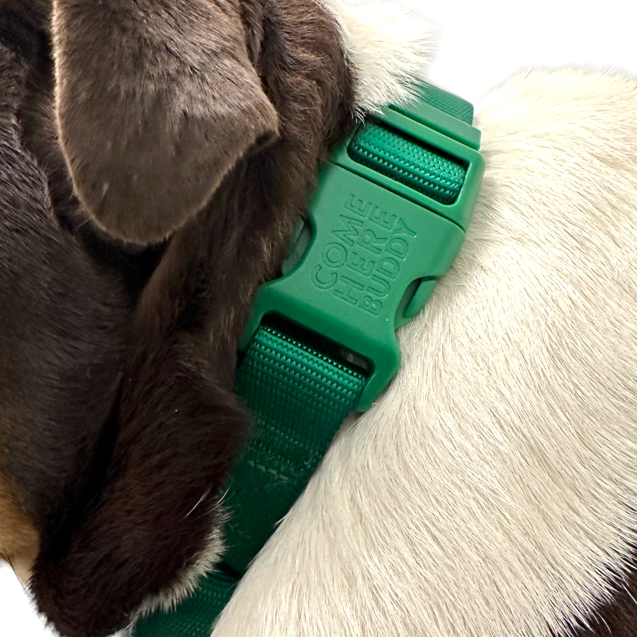 Martingale Dog Collar - Southlake Paws